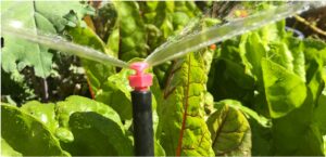 greenleaf-irrigation
