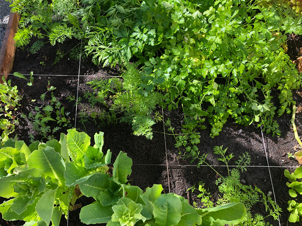 greenleaf-irrigation-garden
