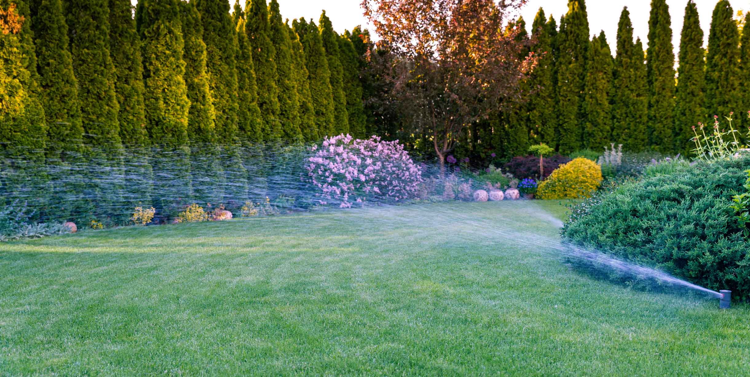 greenleaf-irrigation-sprinkler
